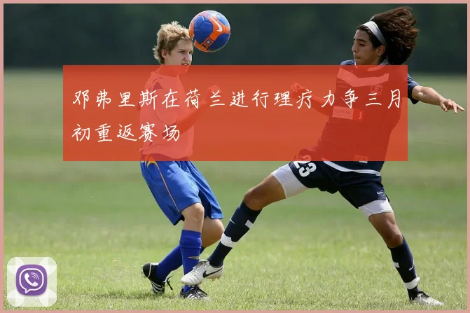 邓弗里斯在荷兰进行理疗力争三月初重返赛场