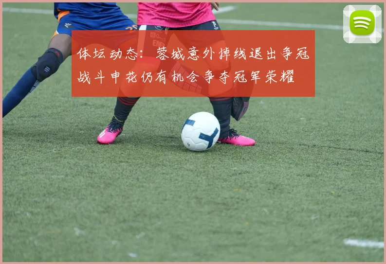 体坛动态：蓉城意外掉线退出争冠战斗申花仍有机会争夺冠军荣耀