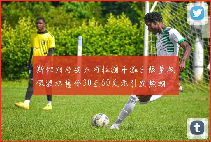 斯坦利与安东内拉携手推出限量版保温杯售价30至60美元引发热潮